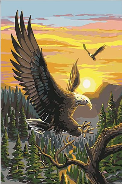 AGUILA-Kit De Pinturas Por Números 40 x 50cm