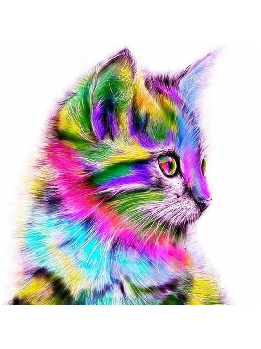 GATICO-Kit De Pinturas Por Números 40 x 50cm